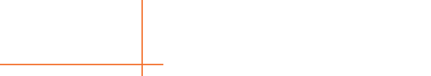 Brightsight Logo
